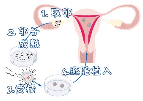 林医師